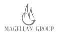 ERP Consulting Magellan Group