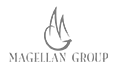 ERP Selection Consultants Magellan Group